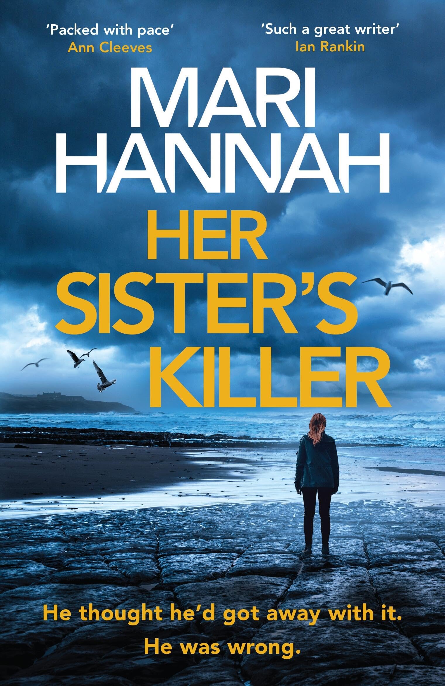 Her Sister's Killer: ‘A classy thriller packed with action’ – Ann Cleeves (Stone and Oliver)