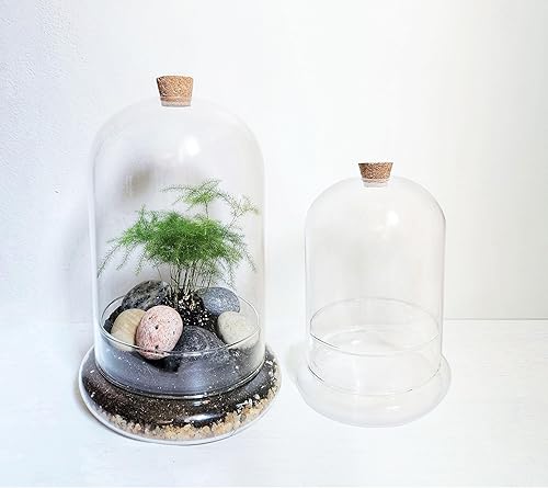 Miniatura 2 de Terrario de vidrio soplado a mano de 7 pulgadas con apertura para flujo de aire y tapón de corcho, cúpula de vidrio estilo cloche, vitrina de