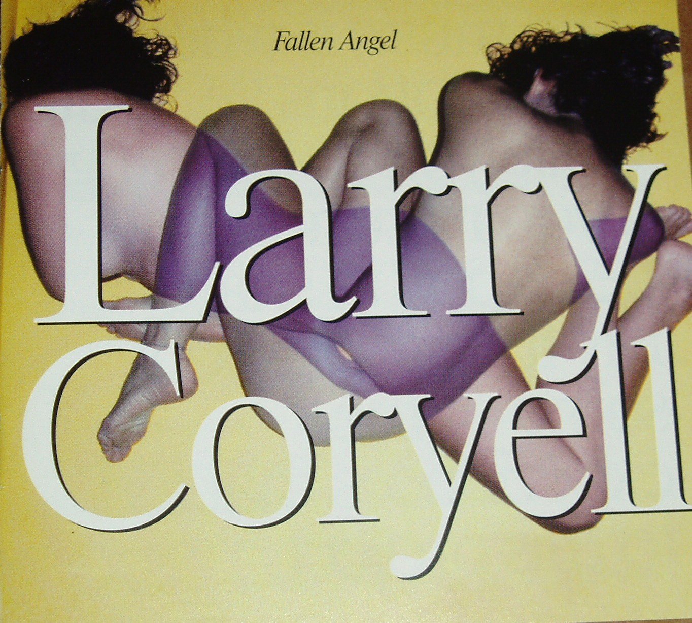 Fallen Angel [Audio CD] Coryell, Larry