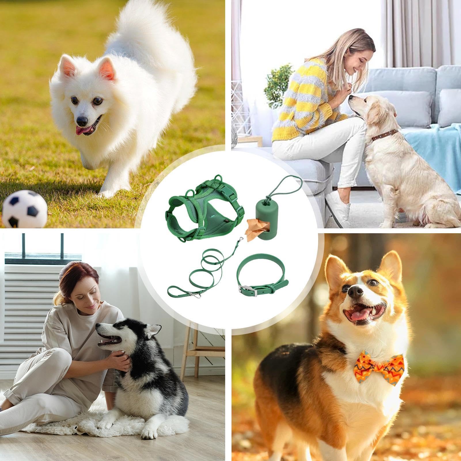 Juego de arnés para perros pequeños, juego de arneses para perros medianos | y medianos, juego de arnés con correa, arnés de seguridad ajustable con soporte para bolsas de excrementos