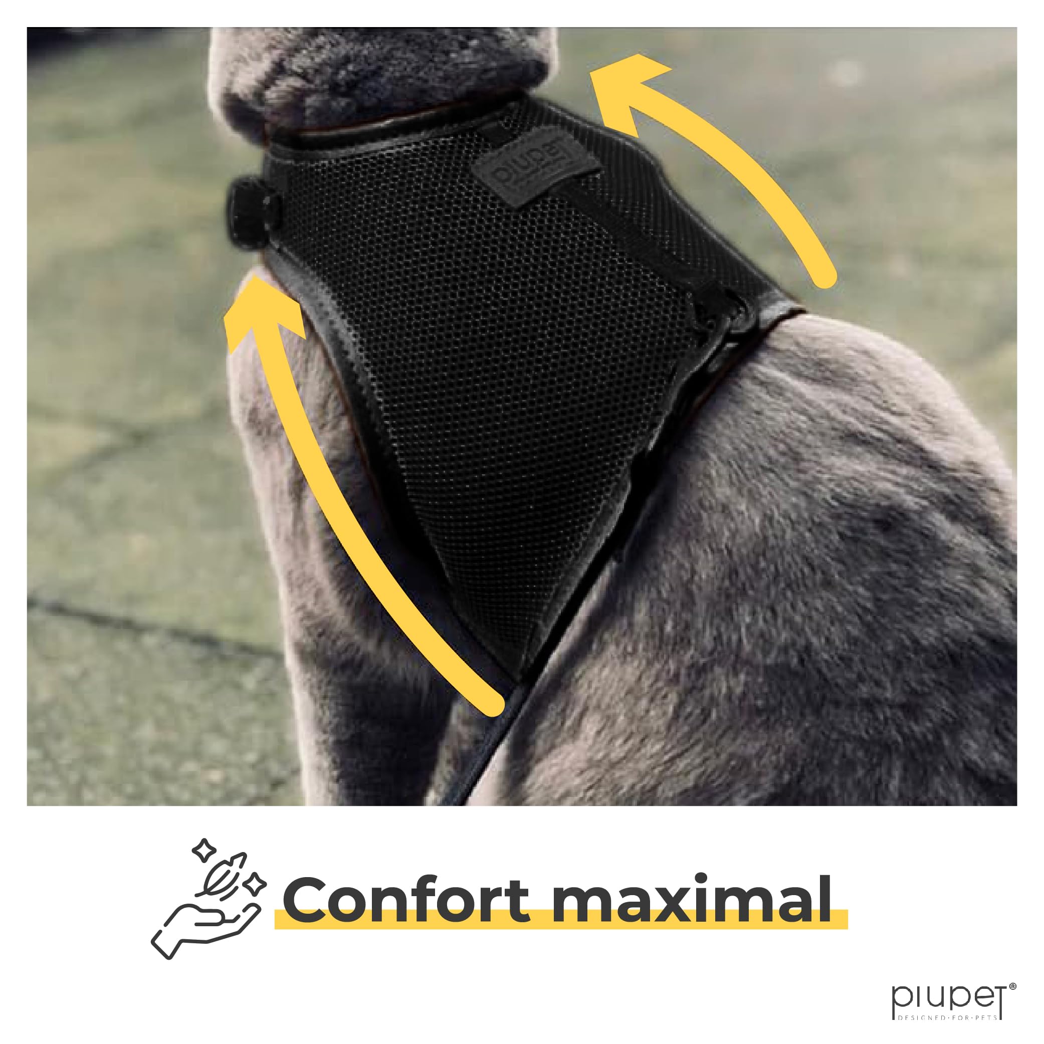 PiuPet® Harnais Chat & Laisse (S) I 1,2m I Anti Évasion I Collier I Chaton I Petit Chien I Adulte I Noir