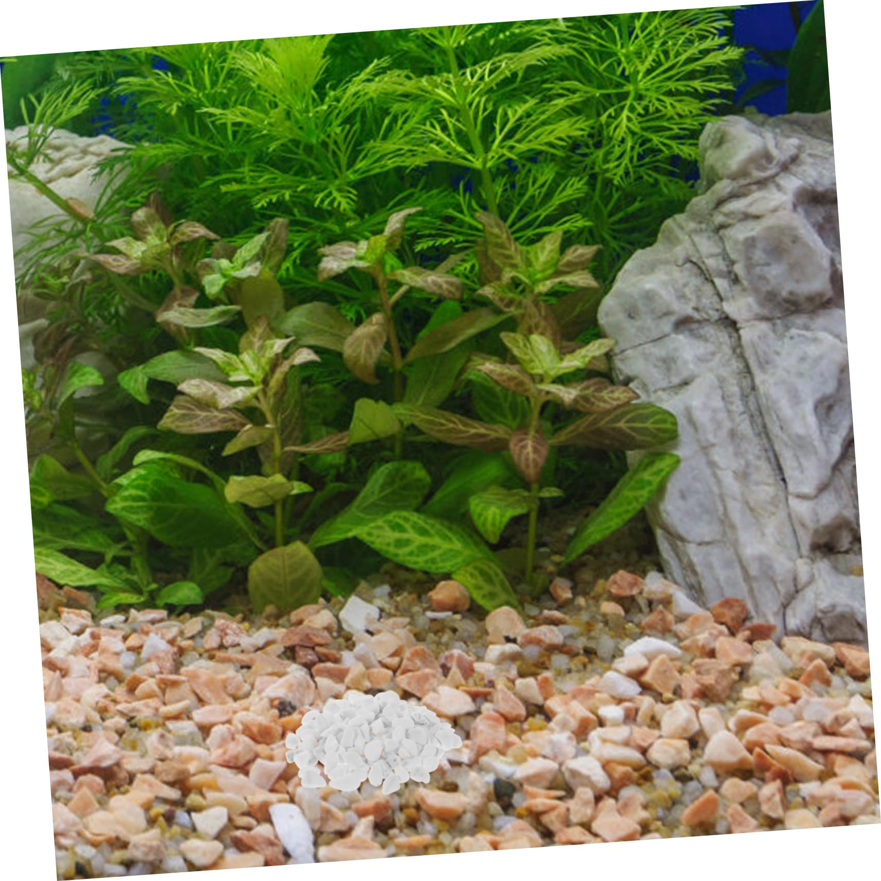 Kisangel Ghiaia Per Acquario Decorativa Pietre Naturali Per Fondo Acquario Ciottoli Bianchi Per Piante Da Interno Vasi e Fioriere