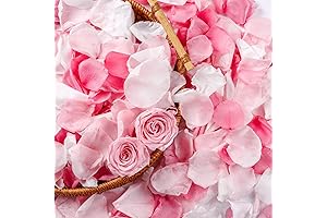 Accesorios para flores eternas: 300 pétalos de rosa eternos liofilizados para decoración de bodas
