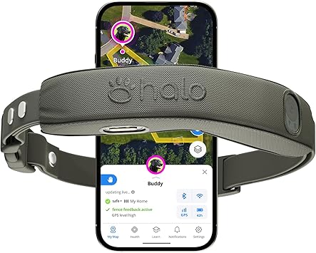 Halo Collar 5 GPS dog collar