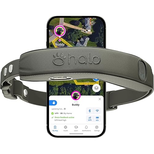 Halo Collar 5, New Wireless Dog Fence & GPS Dog Collar, Subscription Required, Waterproof, Graphite, One Size