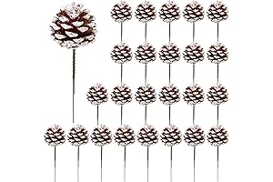 Fovths 24 Pieces Christmas Table Decoration - White pine cones