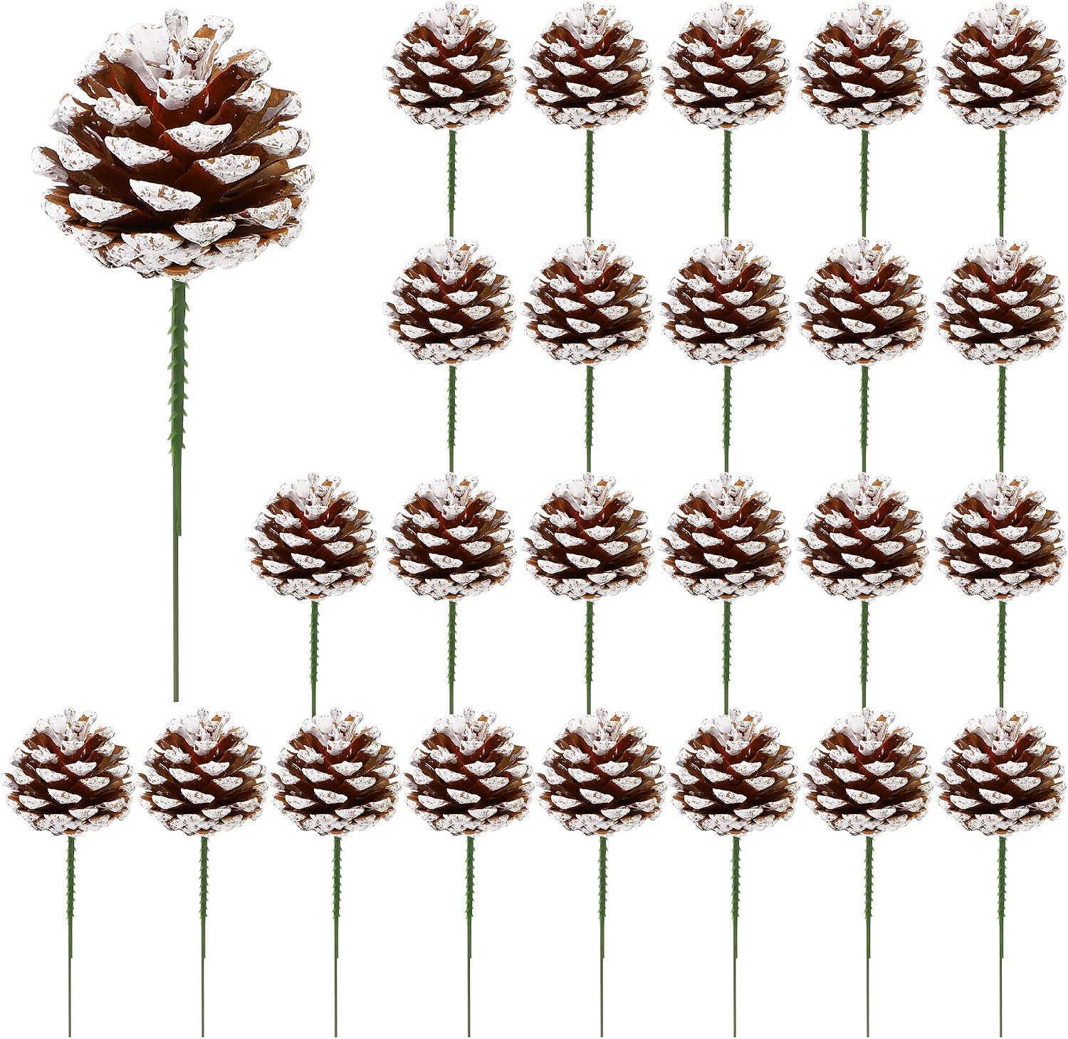 Fovths 24 Pieces Christmas Pine Cones Pick Pinecones Ornament Christmas Tree Decoration 2.4-3.1 Inches Pine Cones for Home Party Christmas Crafts (White, Natural)
