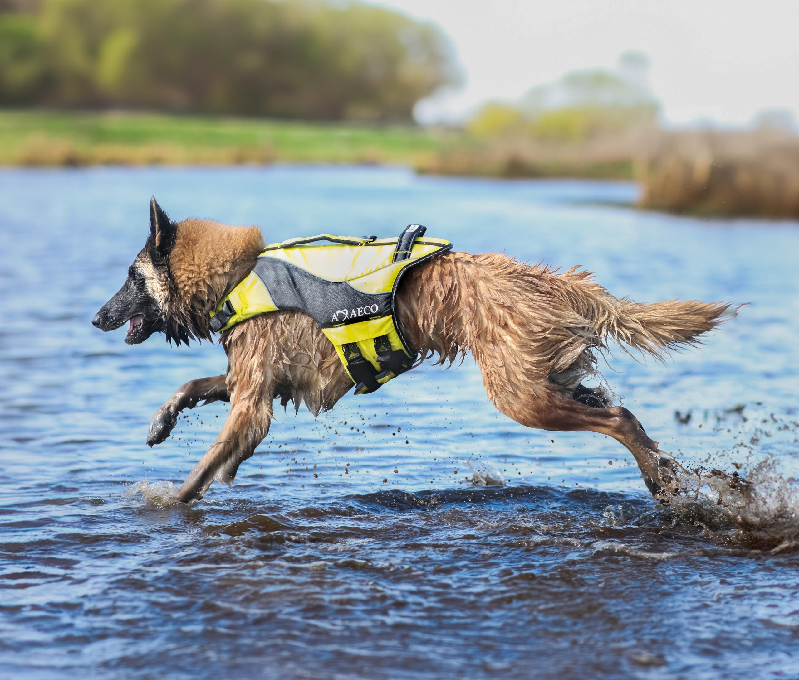 AQUA Giubbotto Salvagente per Cani S Giallo Grigio Scuro Poliestere Rip-Stop Idrorepellente