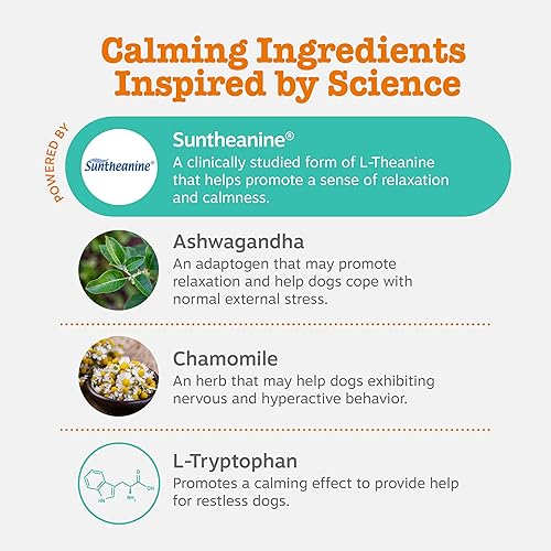 Miniatura 3 de Tratamientos de calmante para perros – Alivio de la ansiedad de la composición con Suntheanine – Kelp orgánico y raíz valeriana + L triptófano