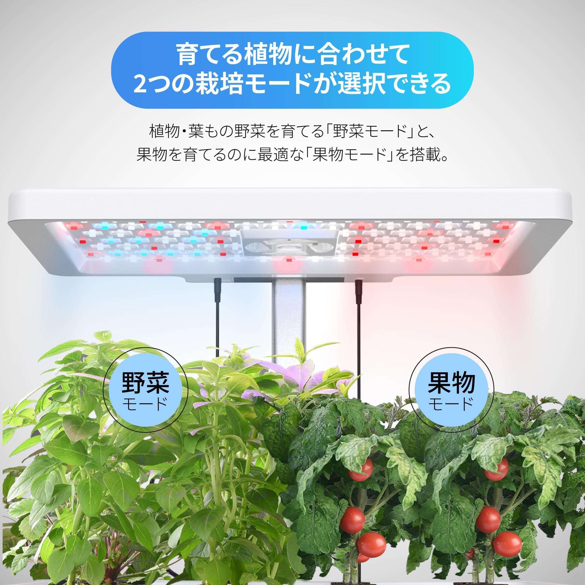 Amazon.co.jp: 水耕栽培キット 水耕栽培 セット 室内 植物育成