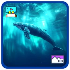 Arktisches Ozeanglühen – Tiefseeleben und ruhiges Wasser mit Wetter und Uhr für Fire TV-Bildschirmschoner in 4K