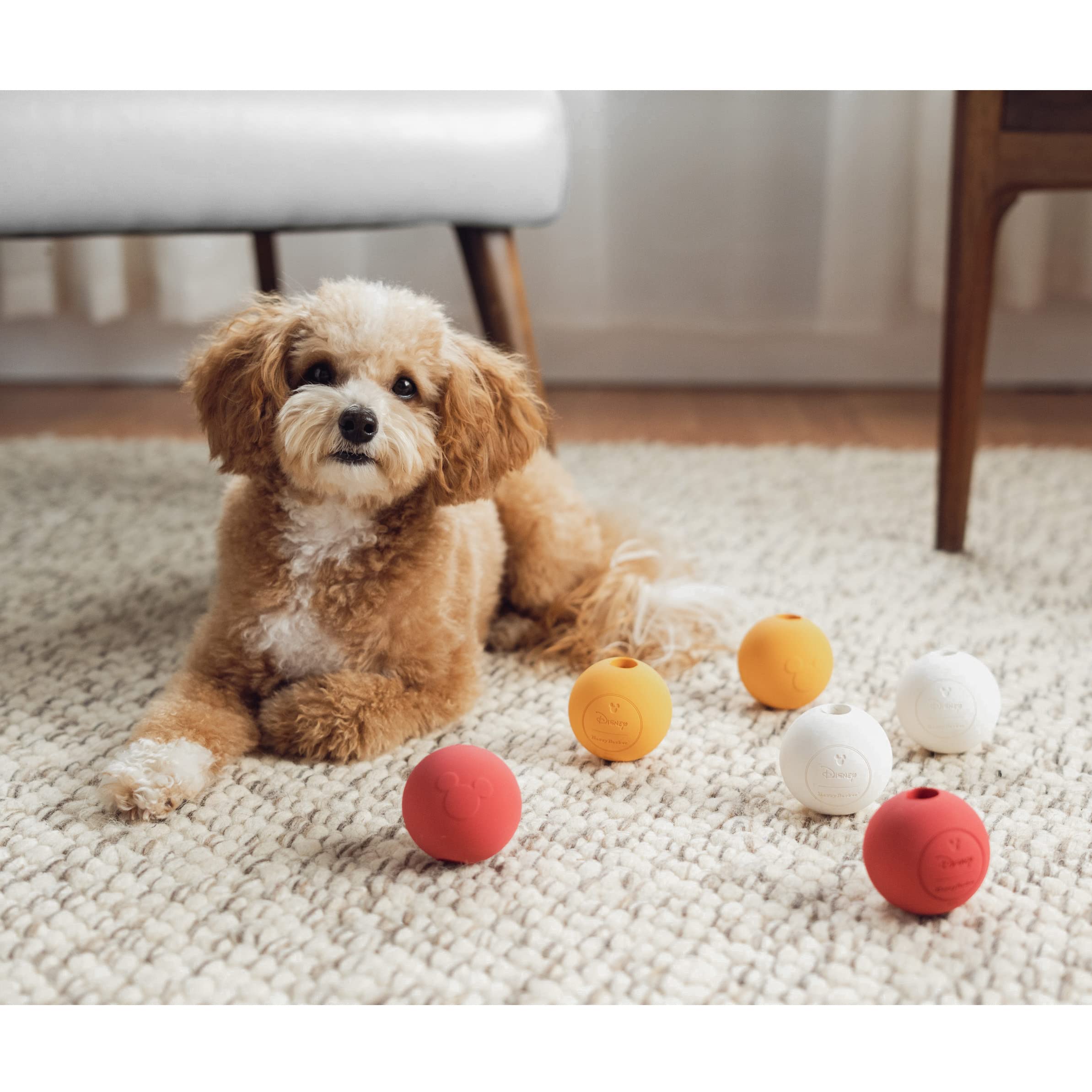 Harry Barker Gummibälle Für Hunde – 6er-Pack Im Natürlichen Ton – Apportierspielzeug Für Welpen & Aktive Hunde