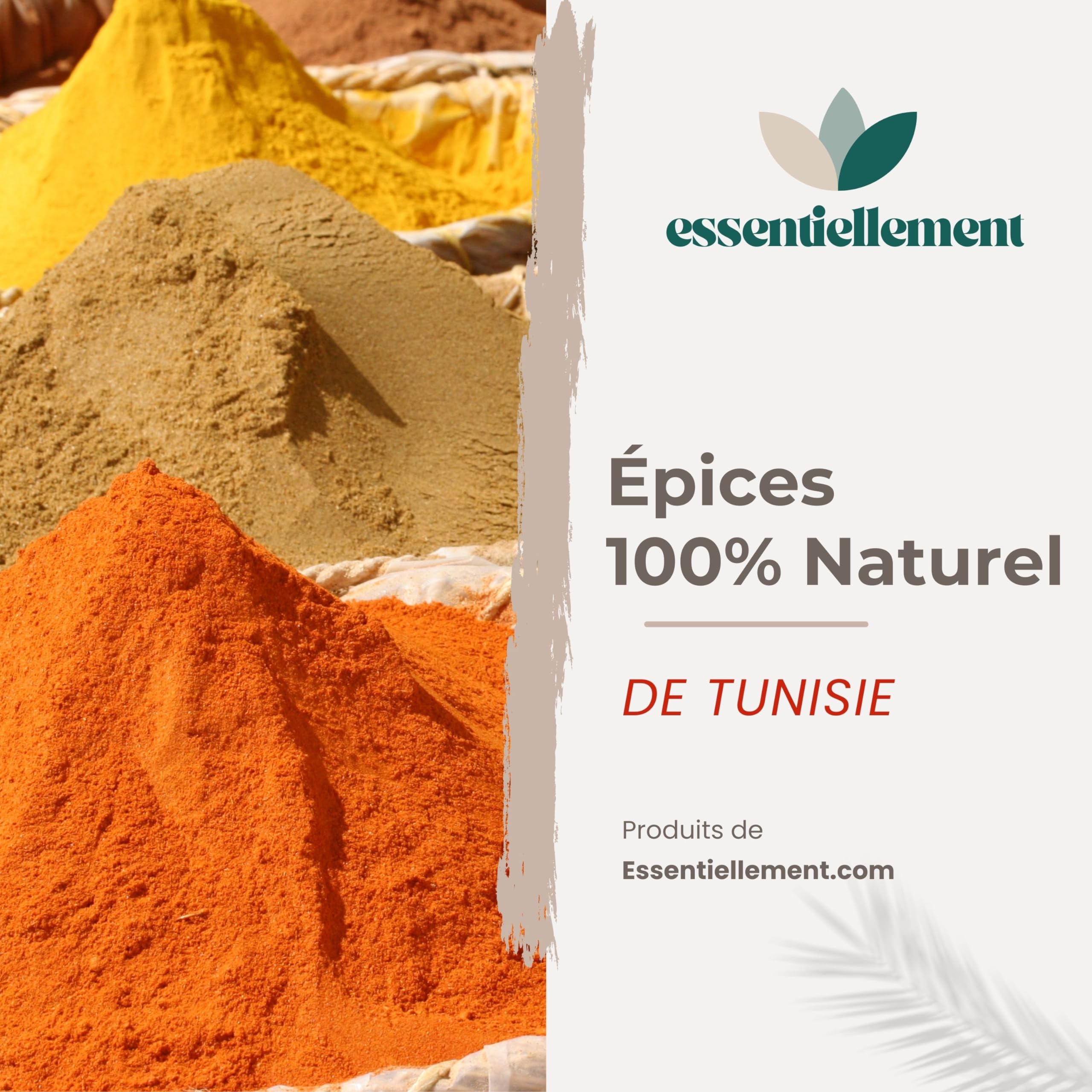 Carvi moulu - 100% Naturel et pur - en Poudre - préparation Artisanale de Tunisie - Haute qualité - 150gr - Sans Additifs, Sans Arôme Artificiel, Sans Conservateur