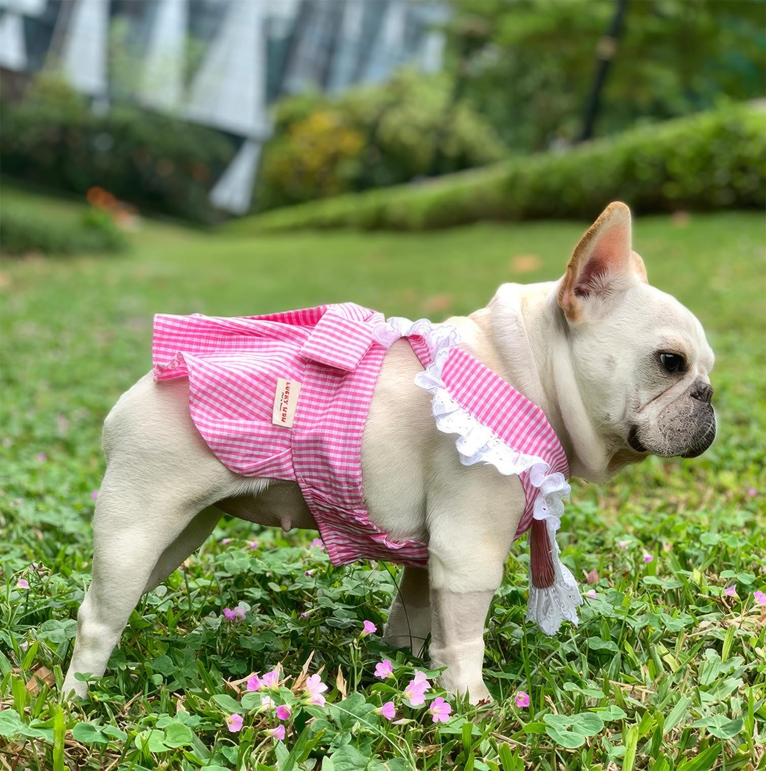 Moorfowl French Bulldog Pink Plaid Dress Lace Trim Summer Slip Skirt for Pug Corgi Doggie Party Sundress with Bowknot Fashion Outfits (XXL(Back 14.56