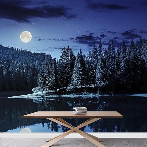 Miniatura 3 de wall26 - Lago cerca del bosque de pinos en montañas por la noche a la luz de luna llena - Mural de pared extraíble autoadhesivo grande - 66x96