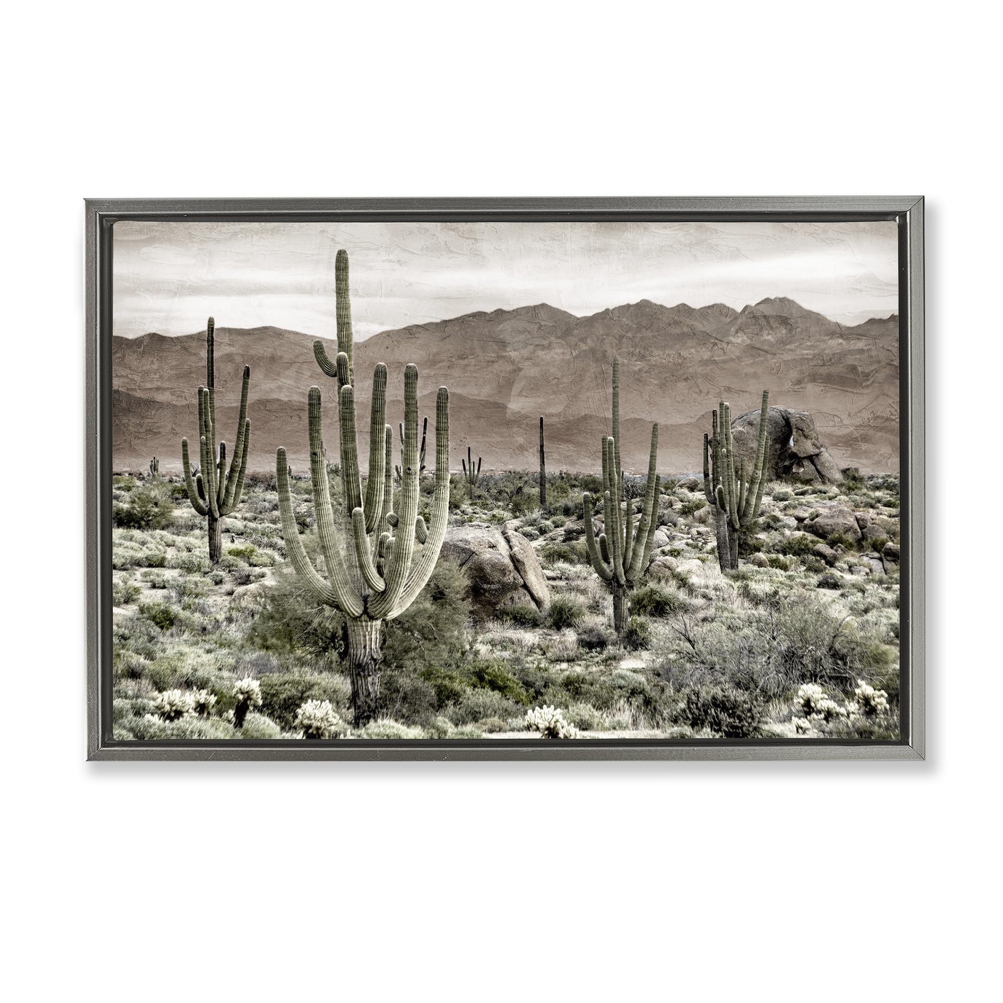 Stupell Industries 'Desert Land Cacti Wilderness', Floating Frame Canvas Art, Gray, 31 x 21 Inches, Easy to Hang and Sturdy, Made in USA, by Kim Allen