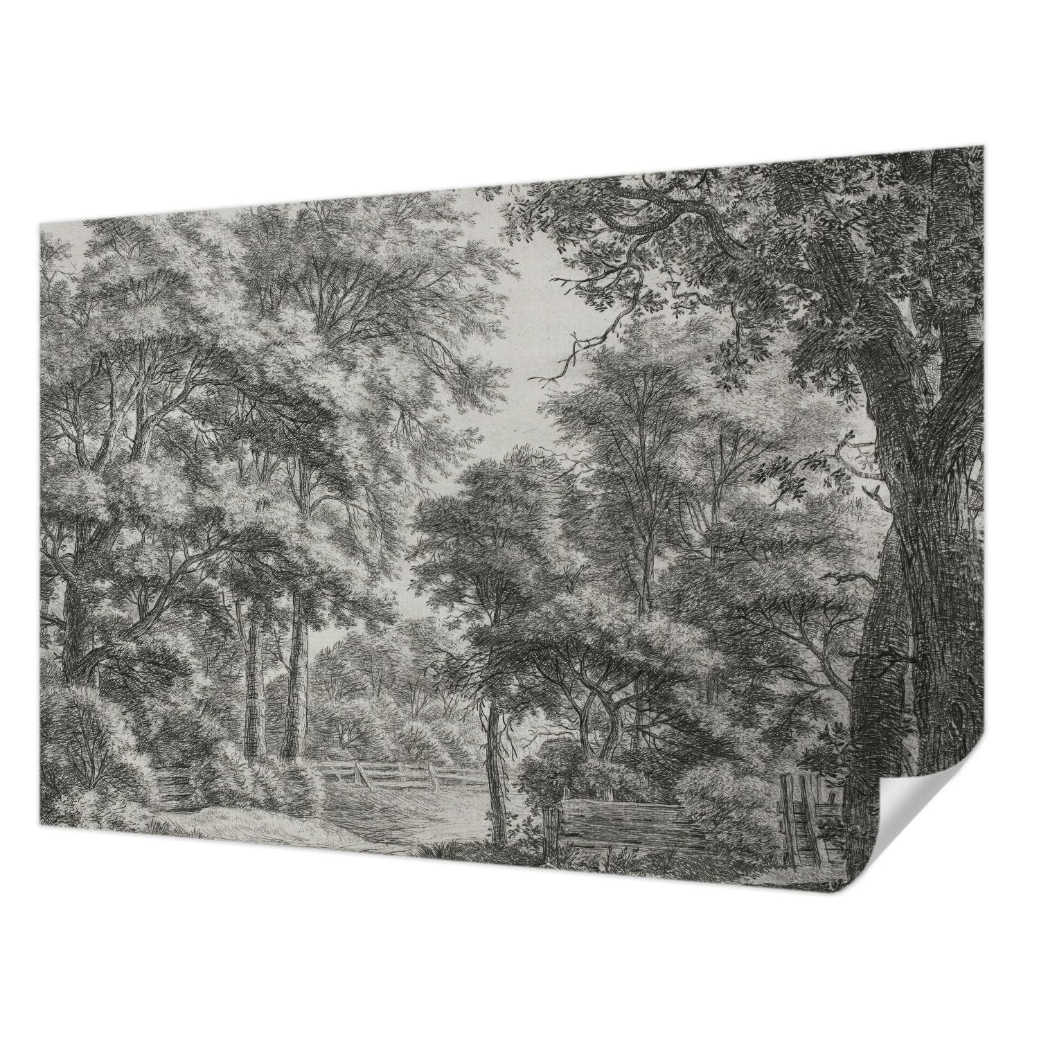 Décor mural adhésif paysage forestier Tulup 152x104 cm pour salon et chambre