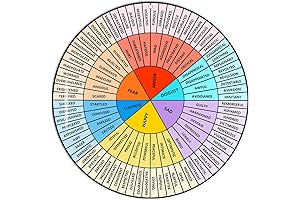12" Feel Wheel: An Emotion Identifier for Enhanced Self-Awareness
