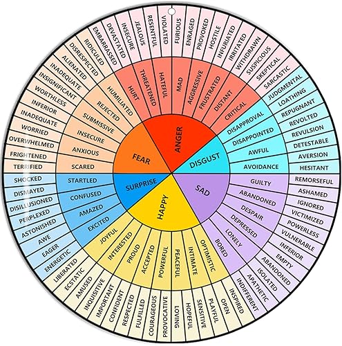 VROCUSE Feelings Wheel - Rueda de acrílico grande de 12 pulgadas para terapia, consejero escolar, trabajador social, decoración de oficina de