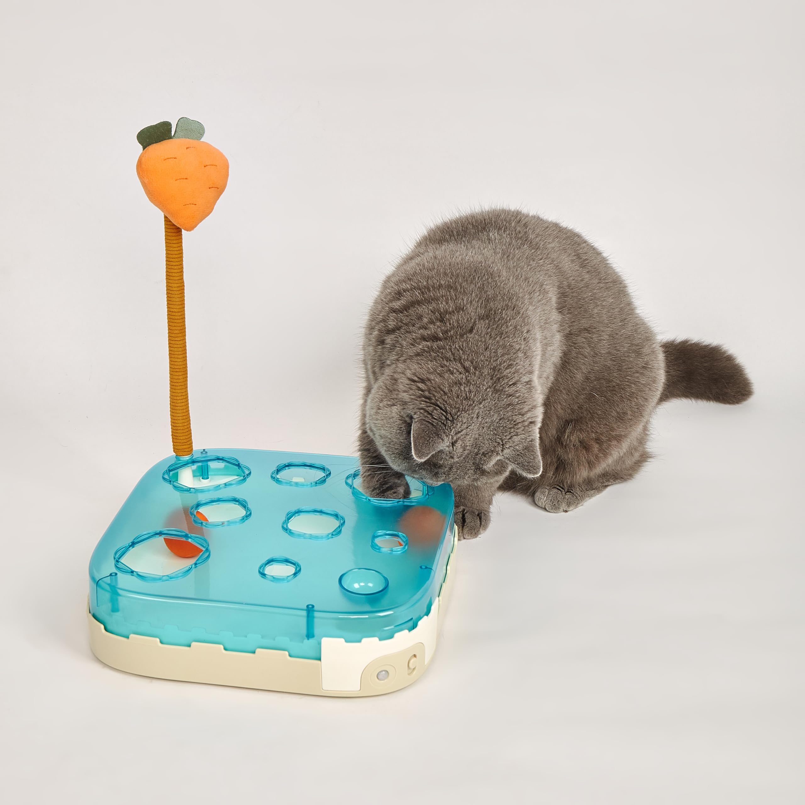 FOFOS | Juguete Interactivo | Tablero con Zanahoria y Bolas | Com Catnip - para Gatos