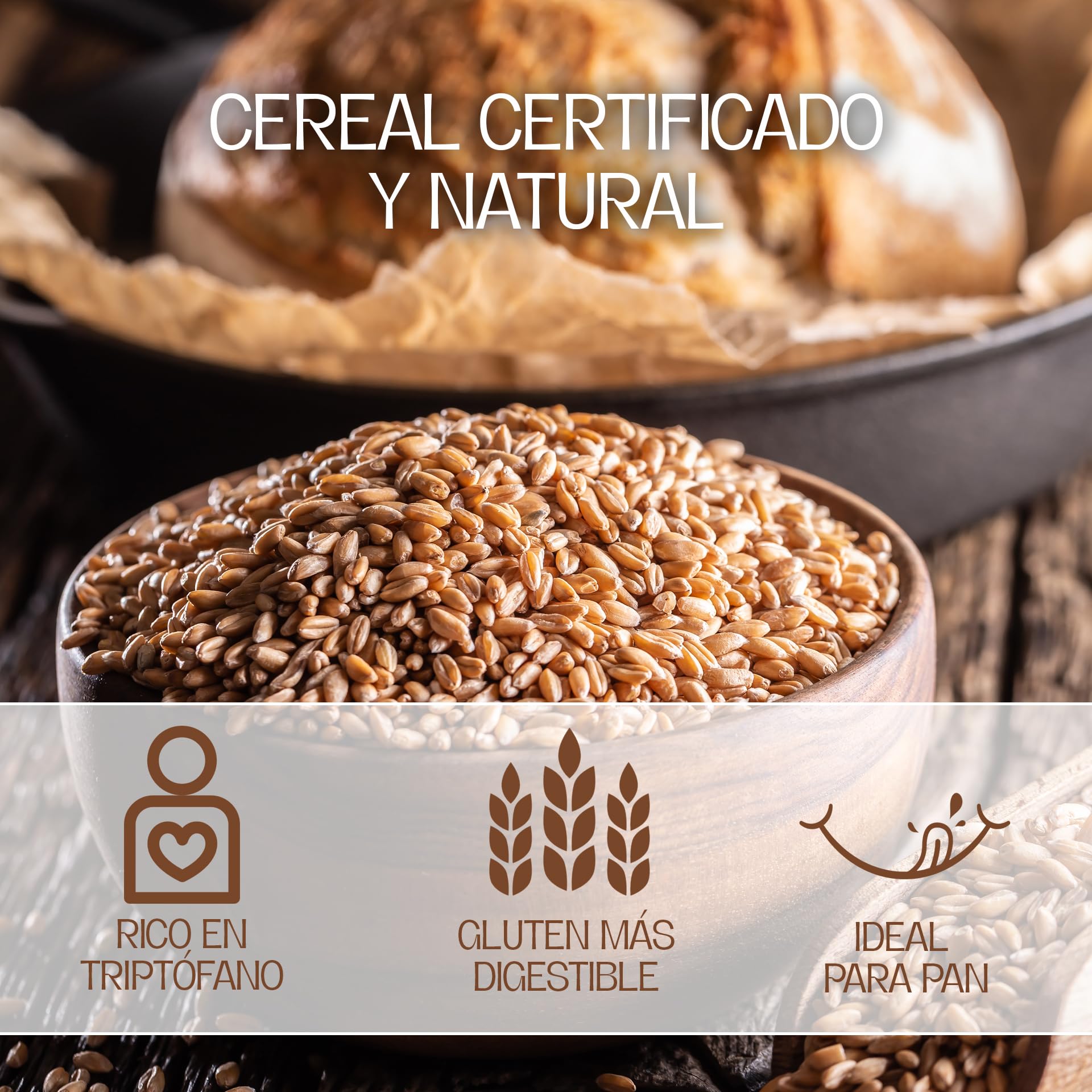 Harina De Espelta Integral Ecológica | 5 Kg | De Molino De Piedra | Para Pan Y Repostería | Harina Espelta 100% Natural | Favorece El Tránsito Intestinal | Fibra Alta Y Sabor Tradicional
