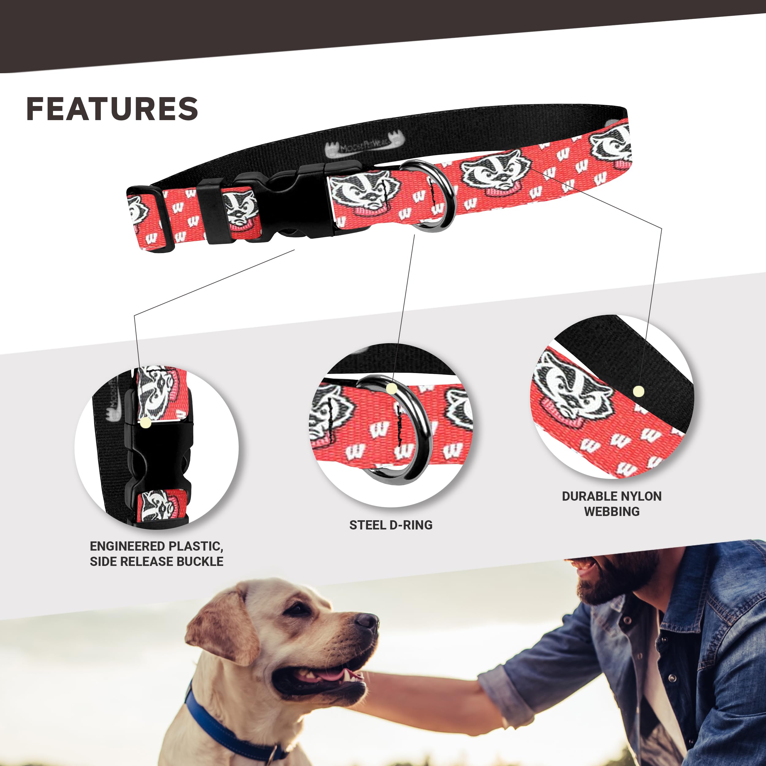 University Of Wisconsin Hundehalsband – Verstellbar, 3/4 Zoll, Rot