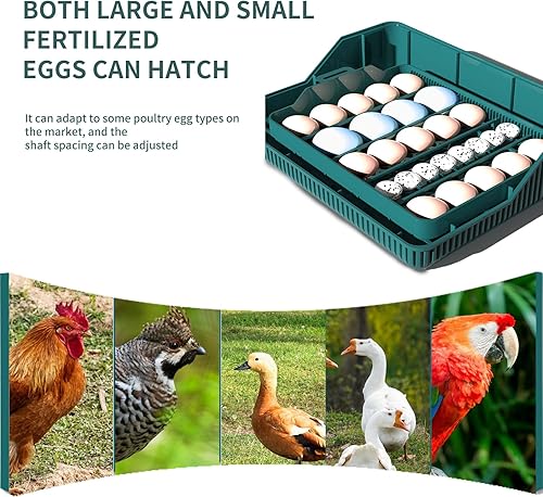 Miniatura 3 de Incubadora de huevos de 25 huevos con giro automático de huevos y control de humedad, incubadora de pollo con vela de huevos, pantalla digital,