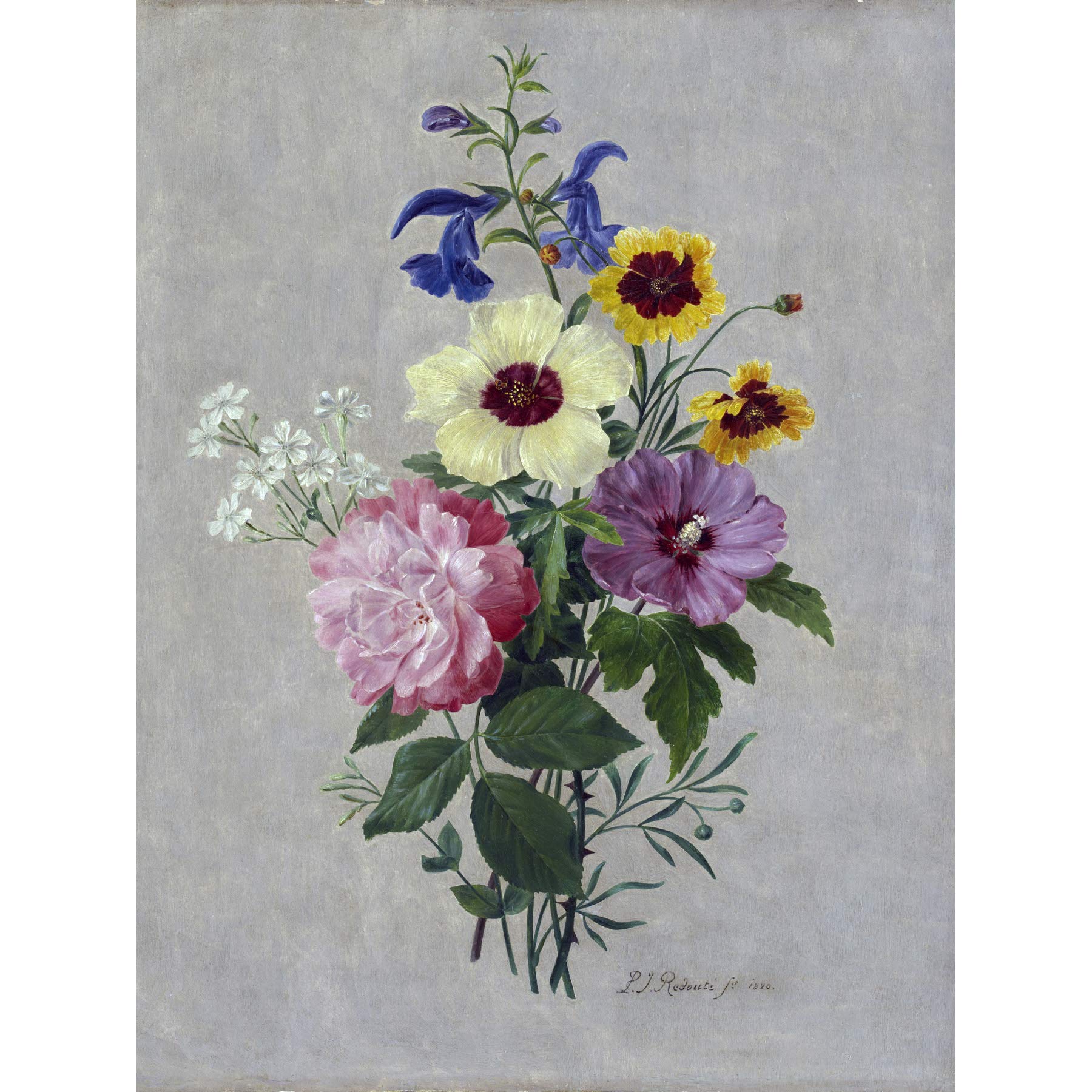 Artery8Pierre Joseph Redoute Flowers 1820 Painting Large Wall Art Poster Print Thick Paper 18X24 Inch