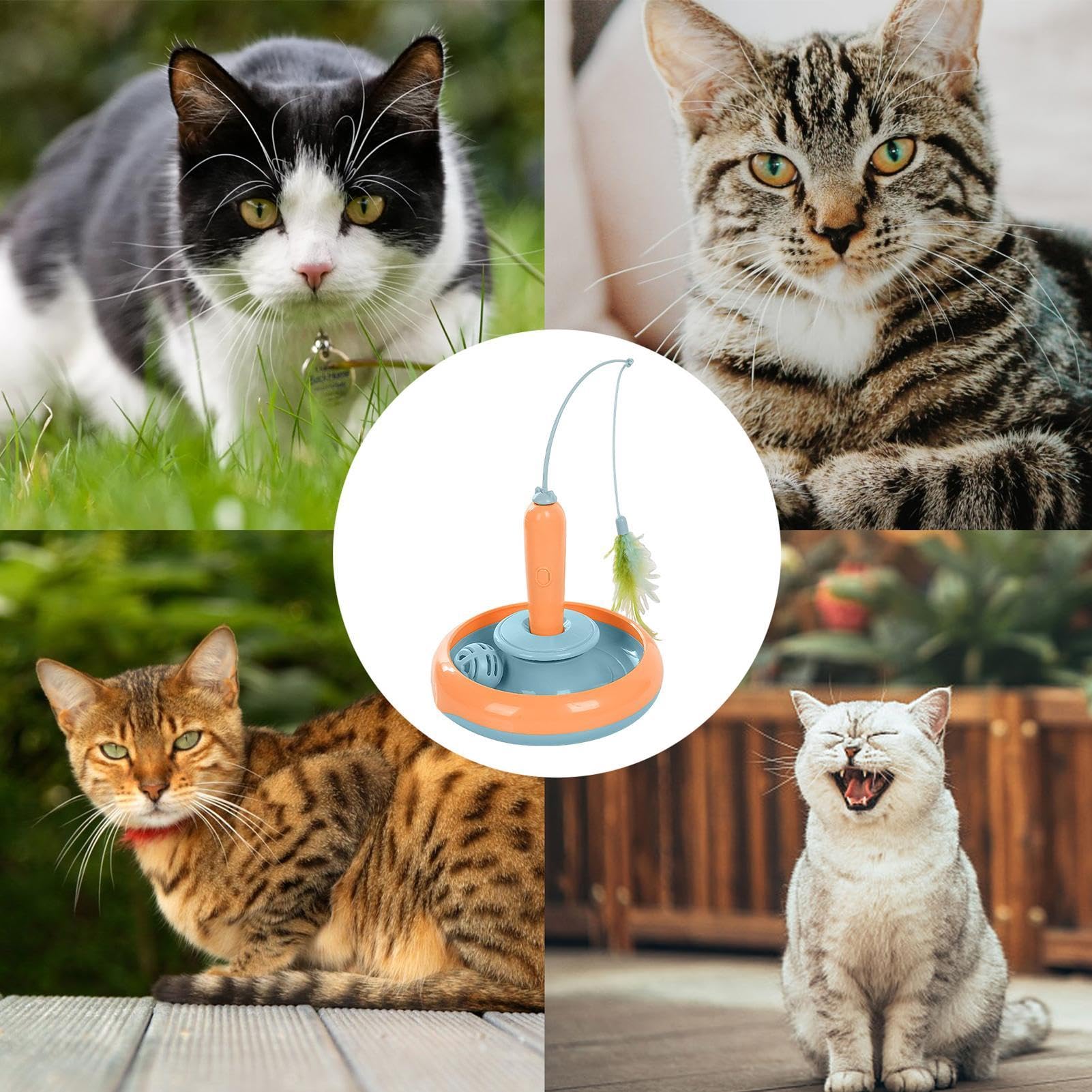 Giocattoli Interattivi per Gatti - Teaser Di Piume Di Gatto, Realizzato In | Materiale ABS Durevole E Morbido | Giocattoli Di Gatto Di Automatici Riutilizzabili Giocattoli Interattivi Di Gatto