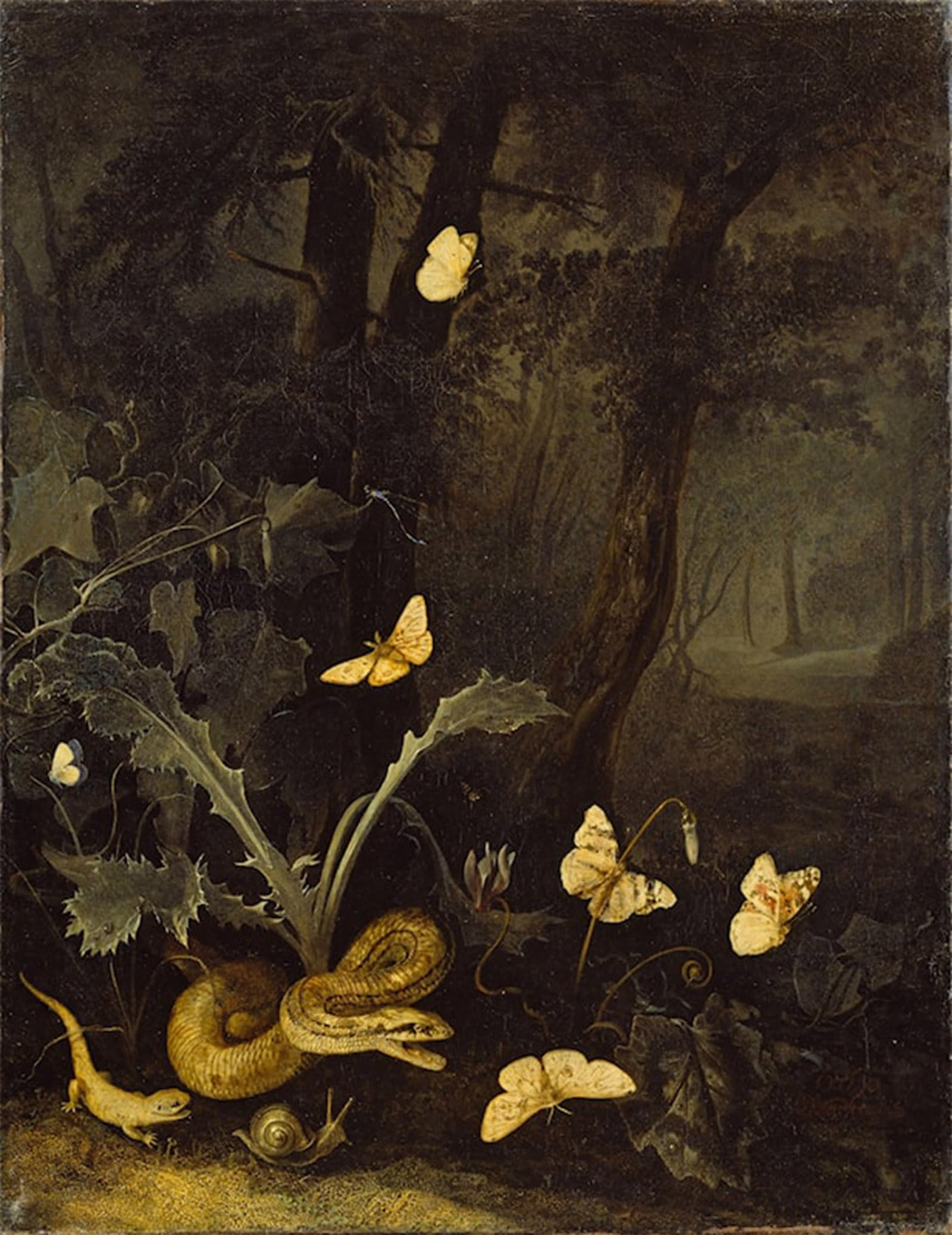 POSTERIIk Famous Modern Artwork Art Mural Forest Floor with Thistle and Snake by Otto Marseus Van Schrieck Oil Paintings Pictures for Home Decor 60x90cm
