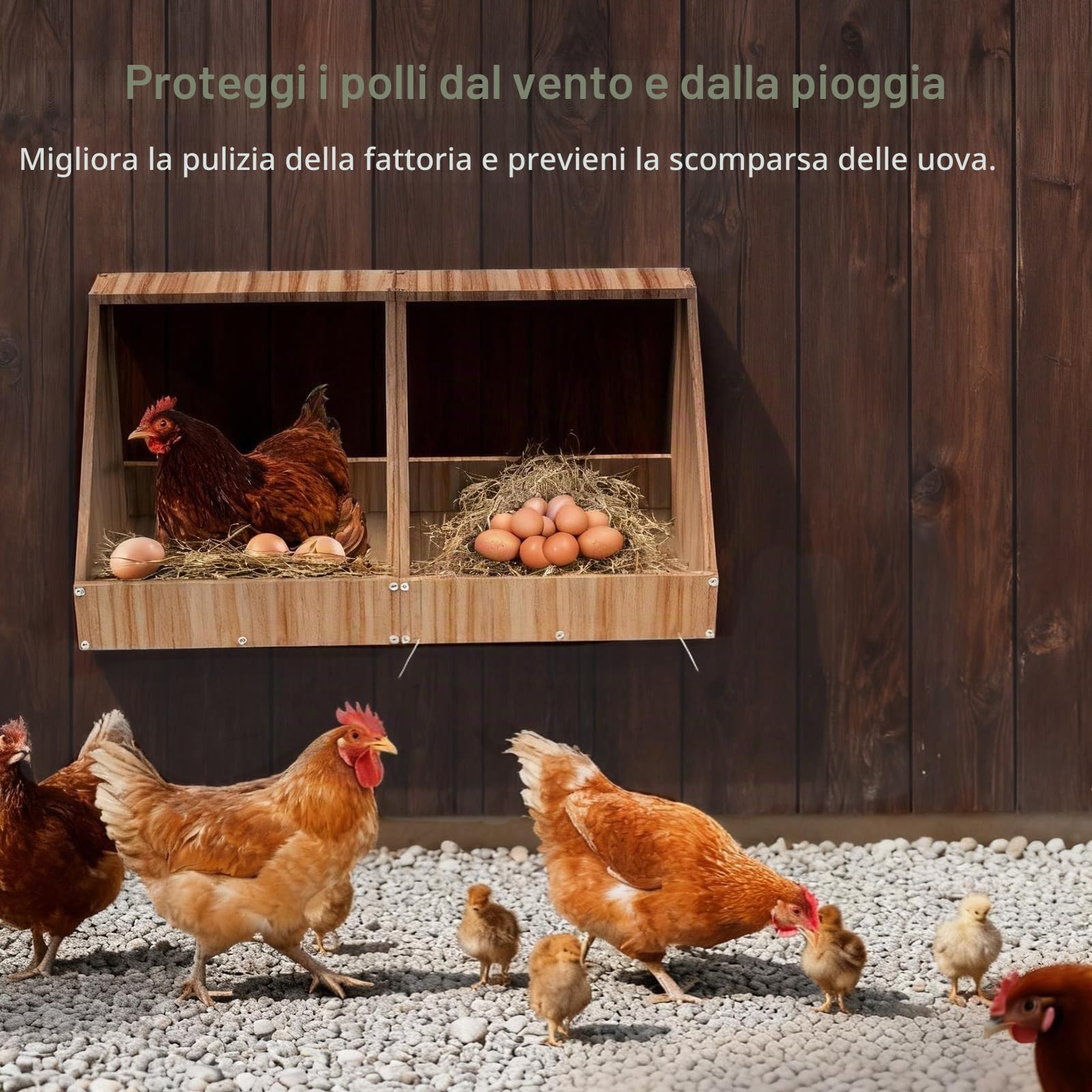 Carbonizzate E Verniciate Nidi Per Galline Ovaiole, 2 Pezzi | 35,3 x 35,3 x 34,2 cm, Nidi Per Galline Da Parete, Creano Un'area Di Raccolta Sicura Per Le Uova Deposte, Nido Per Galline