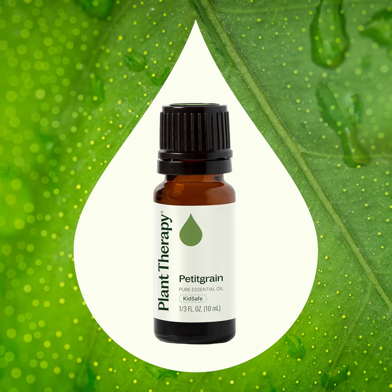 Plant Therapy Petitgrain Essential Oil 10 mL (1/3 oz) 100% Pure, Undiluted, Therapeutic Grade - Image 3
