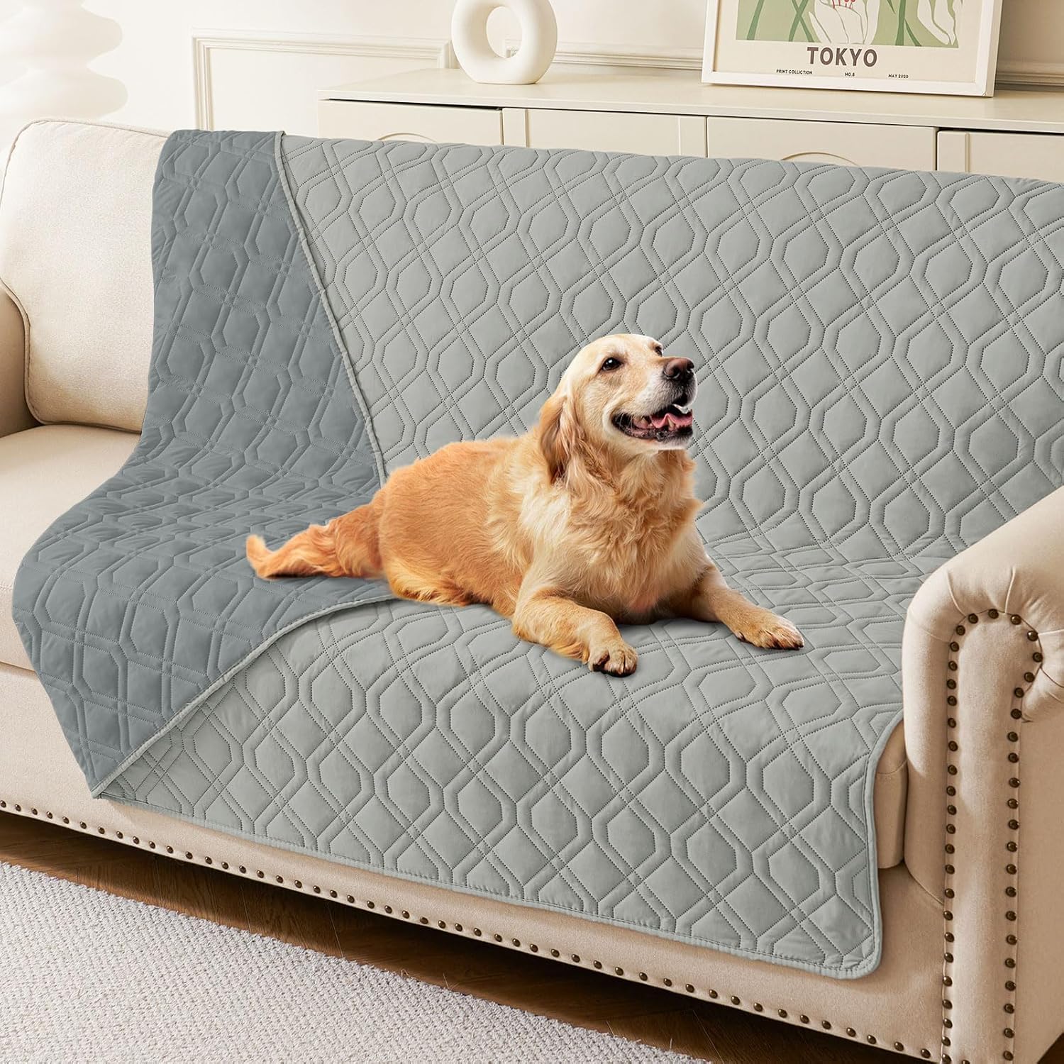 Homaxy Hundedecke Wasserdicht,Hundematte Outdoor Waschbar, Wendedecke Hunde Decke, Weich Katzendecke für Sofa Couch Bett Unterwegs