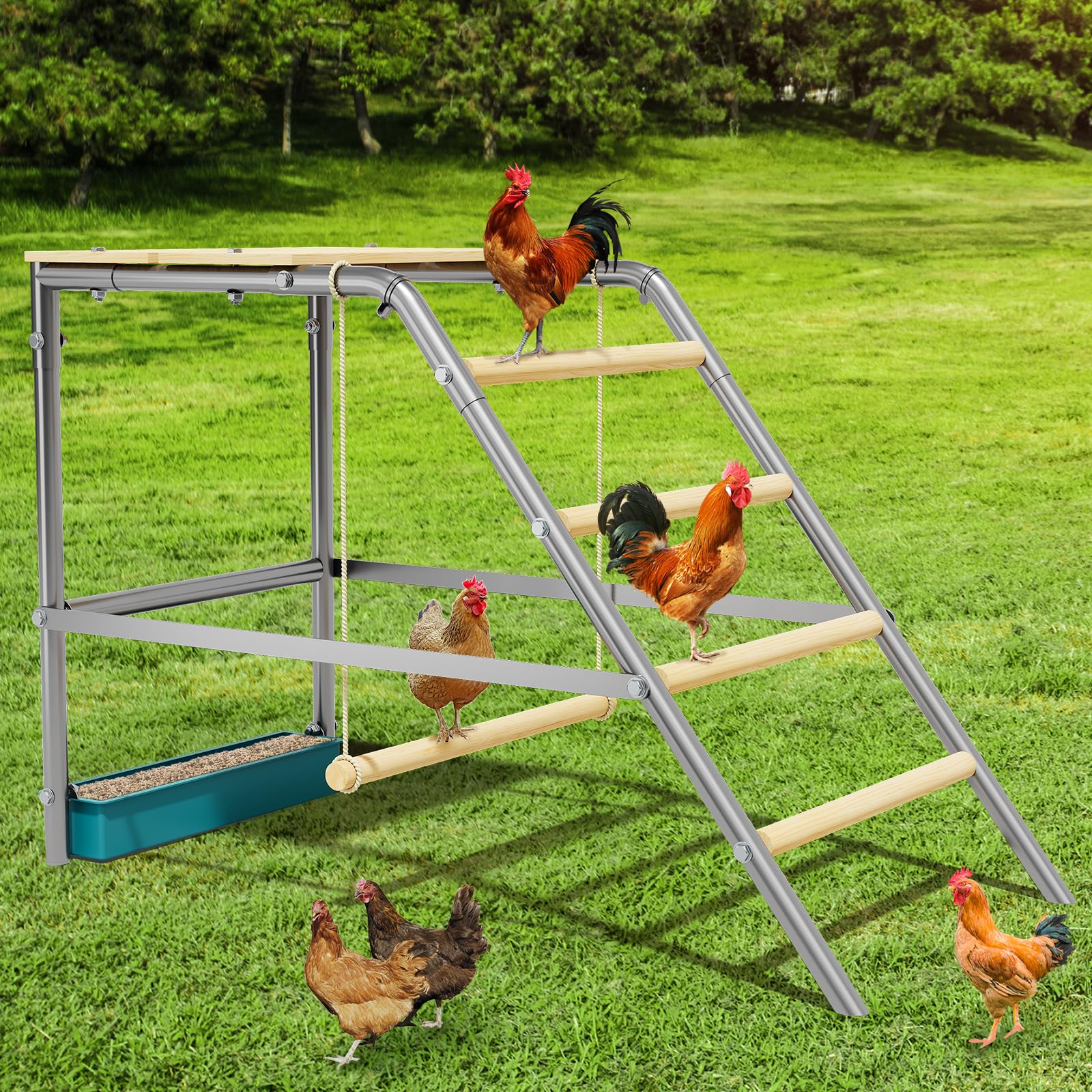 Hühnerschaukel Draußen 100×48×70cm,Holz and Metall Hühnerschaukel,Kletterturm für Hühner,Hühnerleiter & Sitzstange, mit Futterbox, leicht zu reinigen, ideal zum Spielen & Trainieren