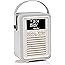 VQ Retro Mini DAB Radio with Bluetooth, Radio Alarm Clock with FM ...