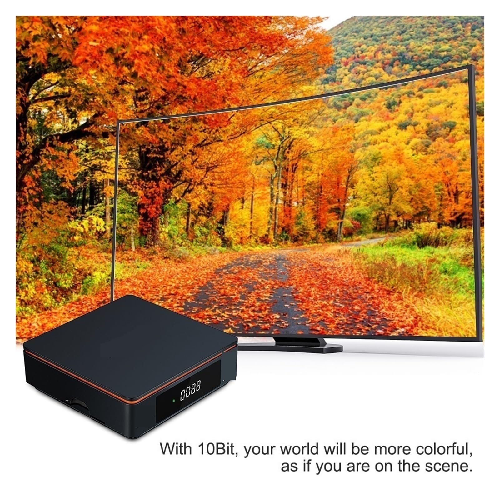 Récepteur Satellite 1080P FHD, Amplificateur De Signal, Gain Couverture plus large