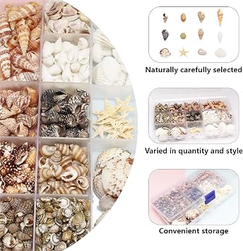 525 Pcs Mixed Sea Shells and Starfish Beach Seashells for Ocean Theme Party Wedding Decor, DIY Crafts Candle Making, Fish Tank Vase Fillers, Home Decor Supplies