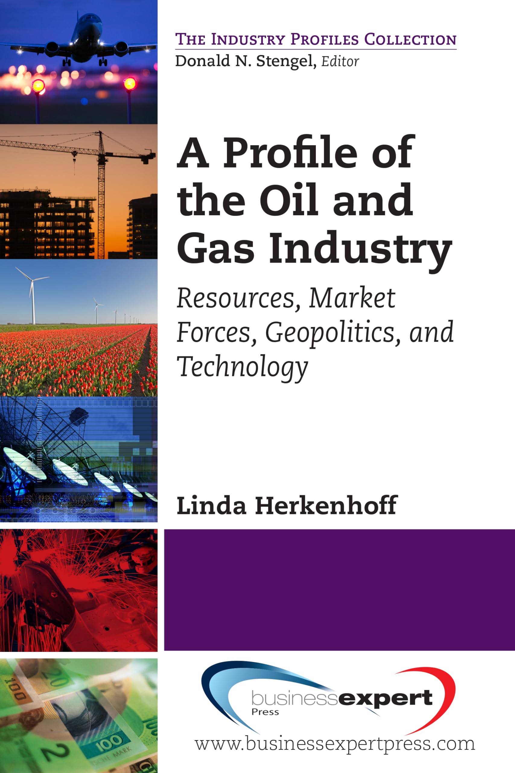 A Profile of the Oil and Gas Industry: Resources, Market Forces, Geopolitics, and Technology (AGENCY/DISTRIBUTED)