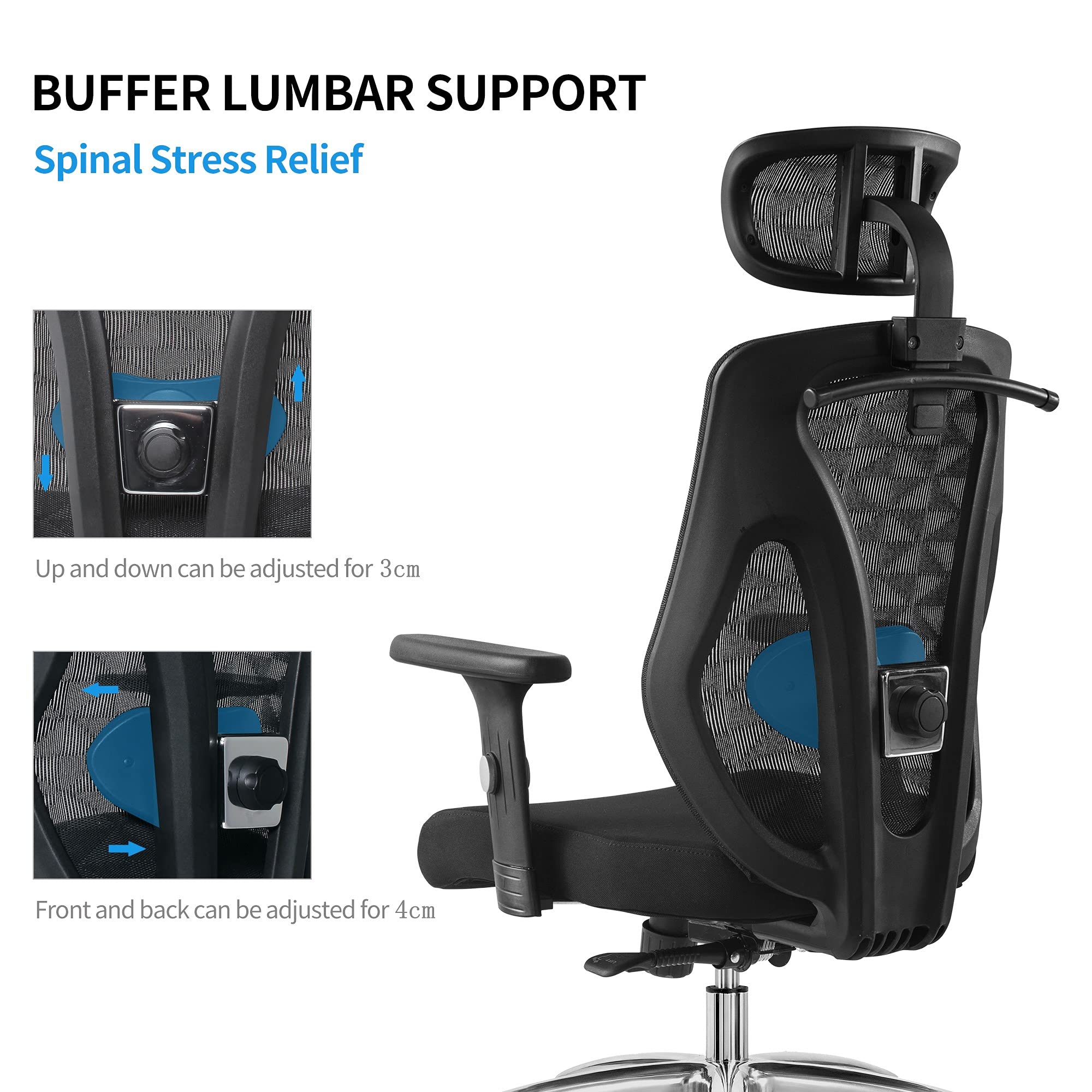 Cedric Ergonomic Adjustable Office Chair with Adjustable Lumbar Support