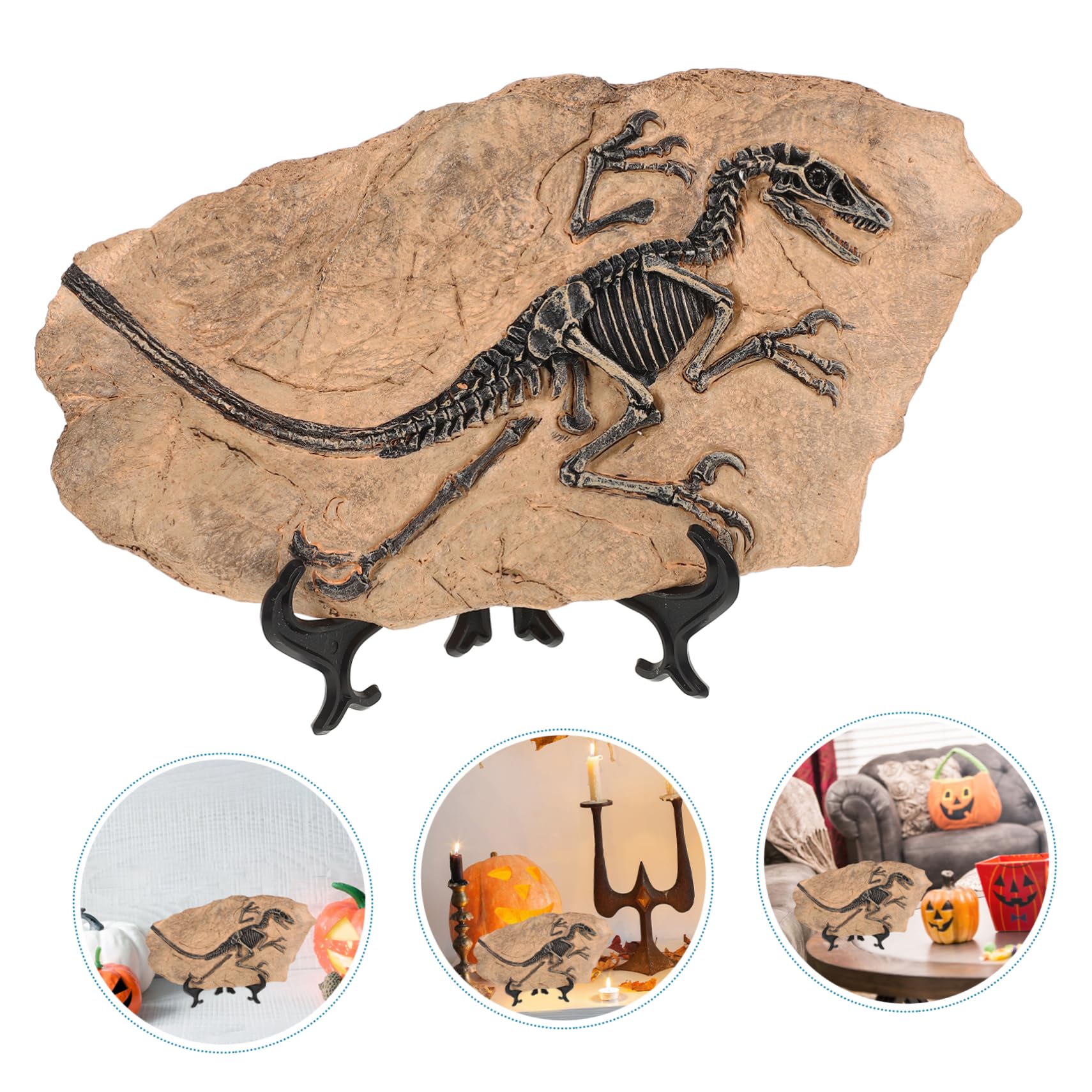 YARNOW Riproduzione di Fossile di Dinosauro da Scrivania in Resina, Decorazione Simulativa Educativa per Festa e Compleanno, Set Unico per Arricchire la Conoscenza dei Ragazzo Ragazza