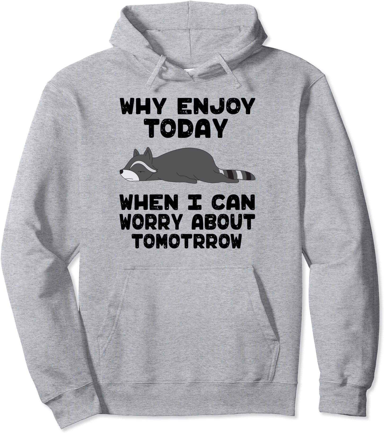 Funny Racoon Why Enjoyin Today When Can Worry About Tomorrow Pullover Hoodie
