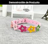 Ver la foto 4