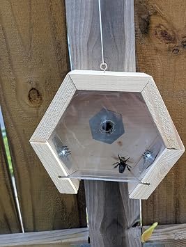 Wood Bee Trap Handmade Carpenter Bee Traps Modern Eco-Friendly 2 Pack