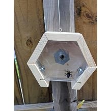Wood Bee Trap Handmade Carpenter Bee Traps Modern Eco-Friendly 2 Pack