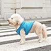 Product Photo 9