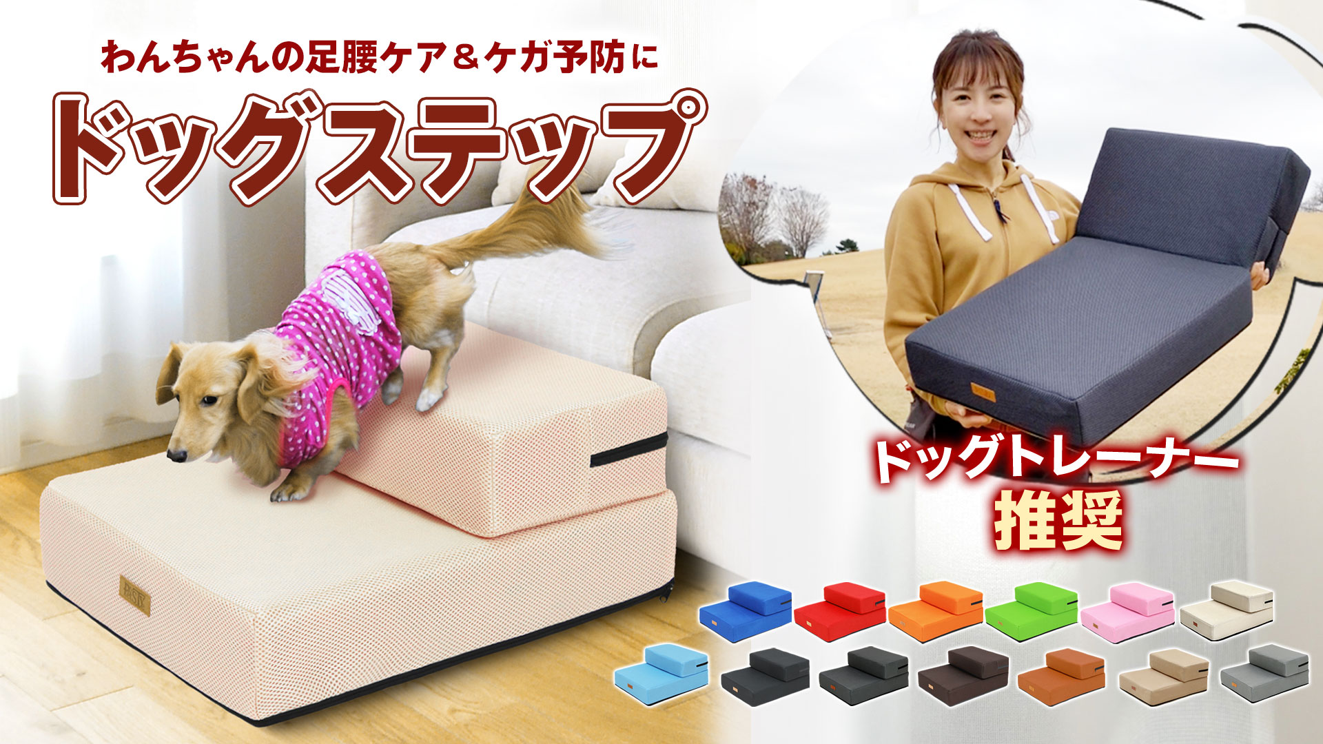☆PetStyle ドッグステップ ドッグトレーナー推奨 犬用ステップ 2段 ハードタイプ アクアブルー◆ドッグトレーナー推奨 ドッグトレーナー推奨】 ドッグステップ 犬 階段 ペット 犬用 ステップ