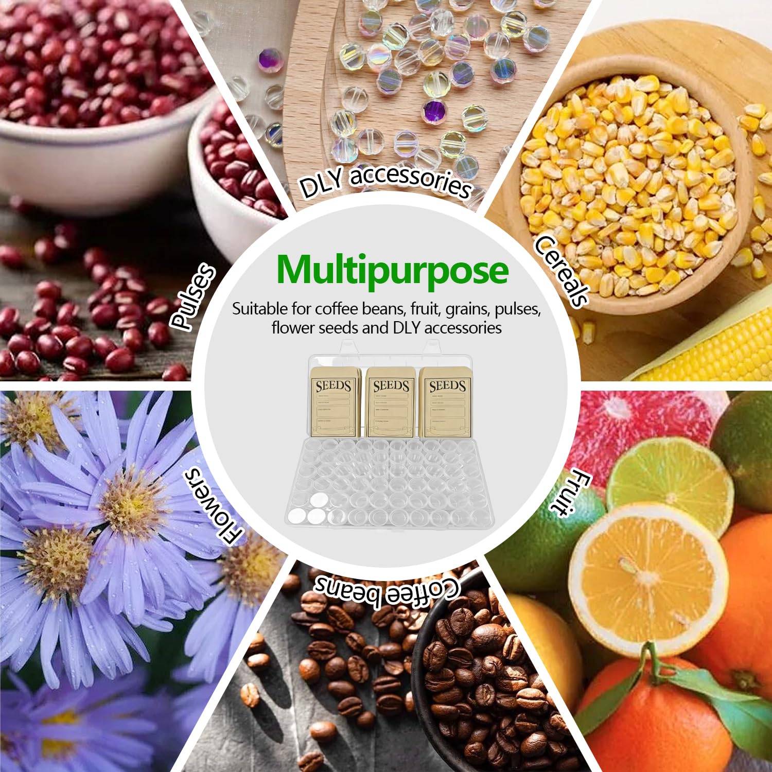 60 Rangement Graines Potager Rond Seed Box Boîtes pour Grosses Grainezs Boite Robuste et Durable Comprend 50 Sachet Craft Adapté Au Stockage de Grains de Café Haricots Mungo et Céréales
