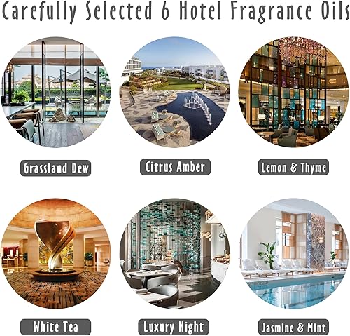Miniatura 2 de Aceite de fragancia, MitFlor Hotel y Woodland, juego de aceites aromáticos para hacer velas de jabón, aceites esenciales para difusores para el hogar
