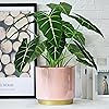 Product Photo 8