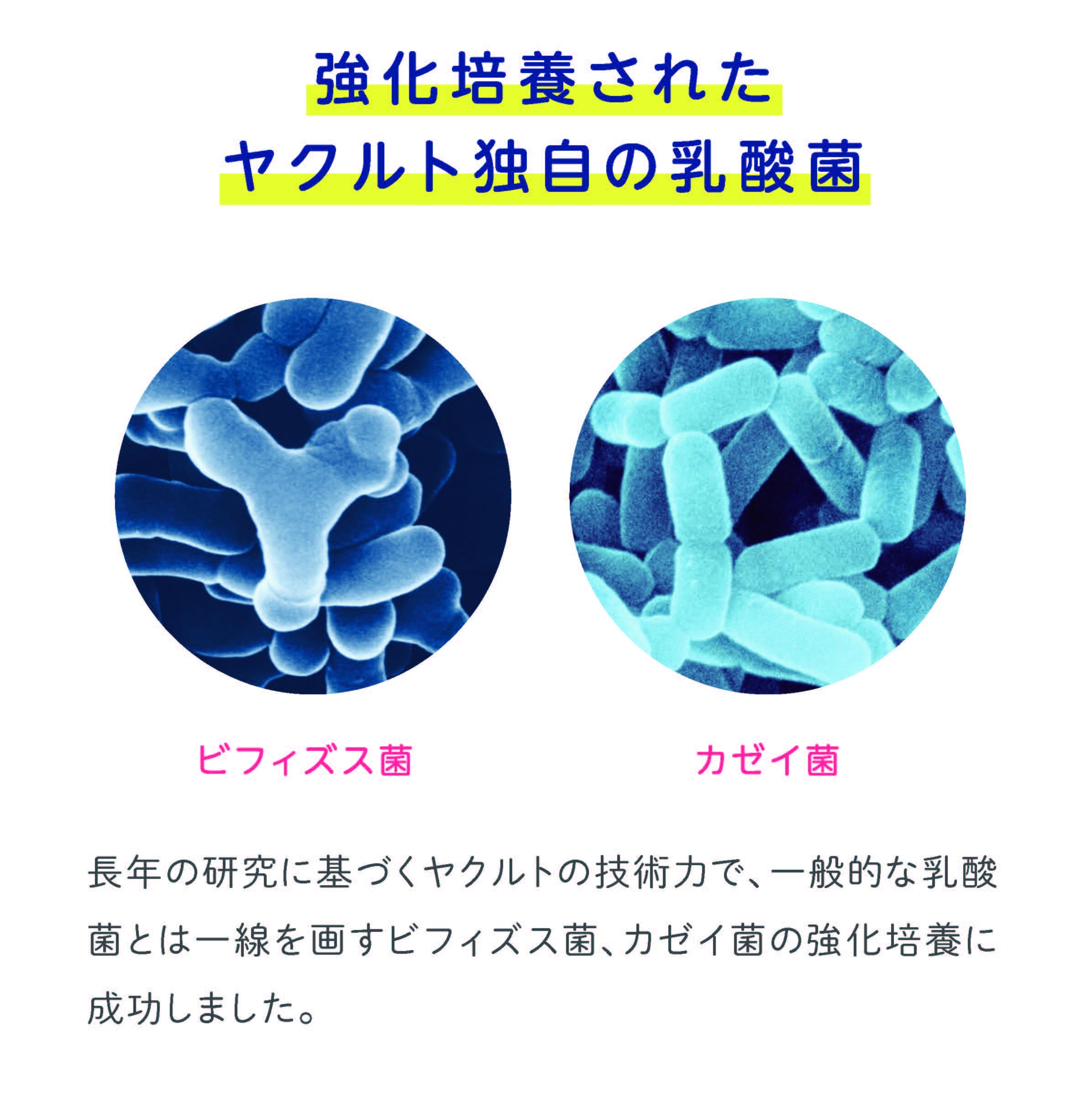 Amazon | ヤクルトBLチュアブル整腸薬 126錠 | ヤクルト | ビフィズス菌